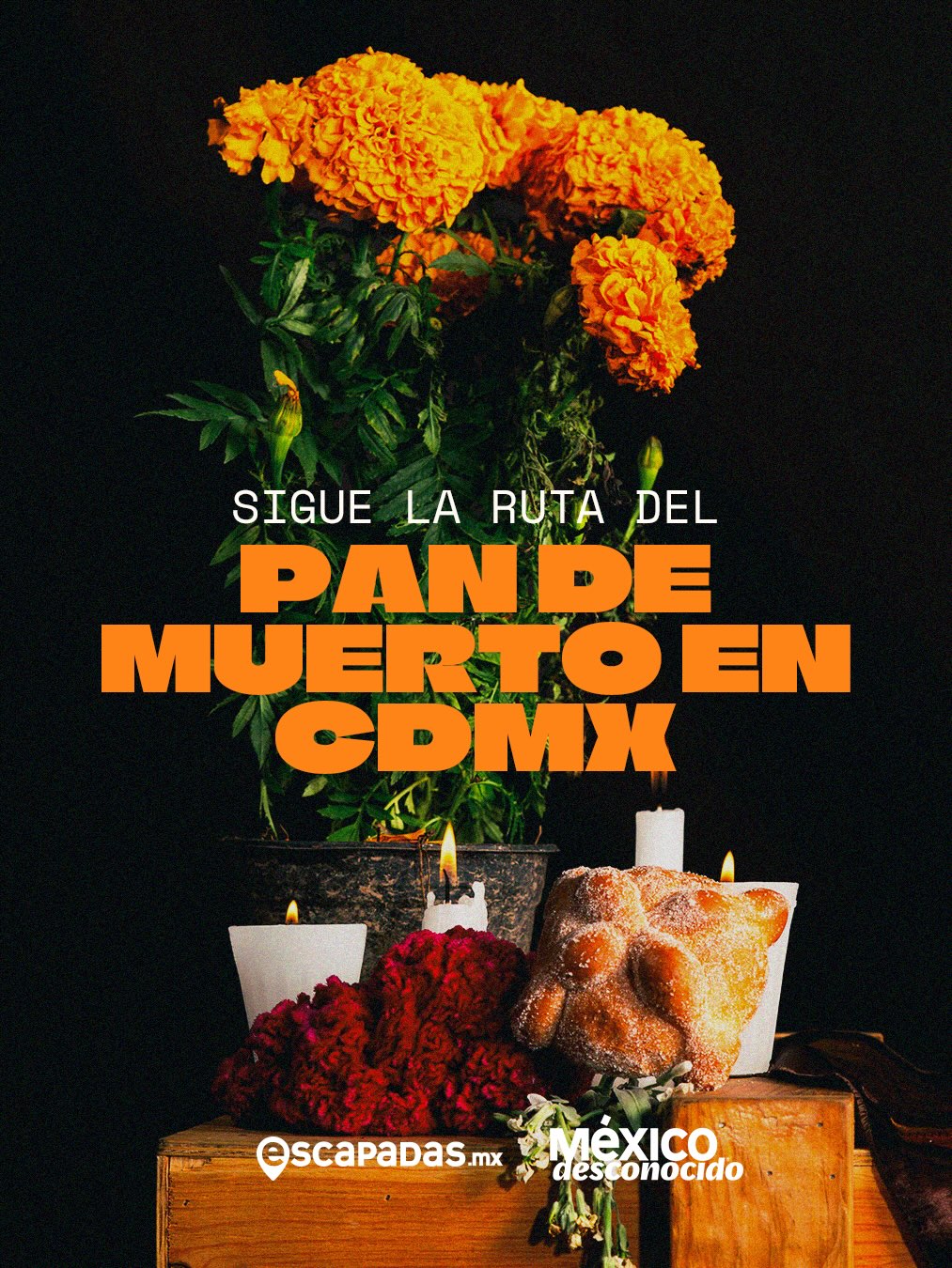 Five Best Pan de Muerto Spots In Mexico City