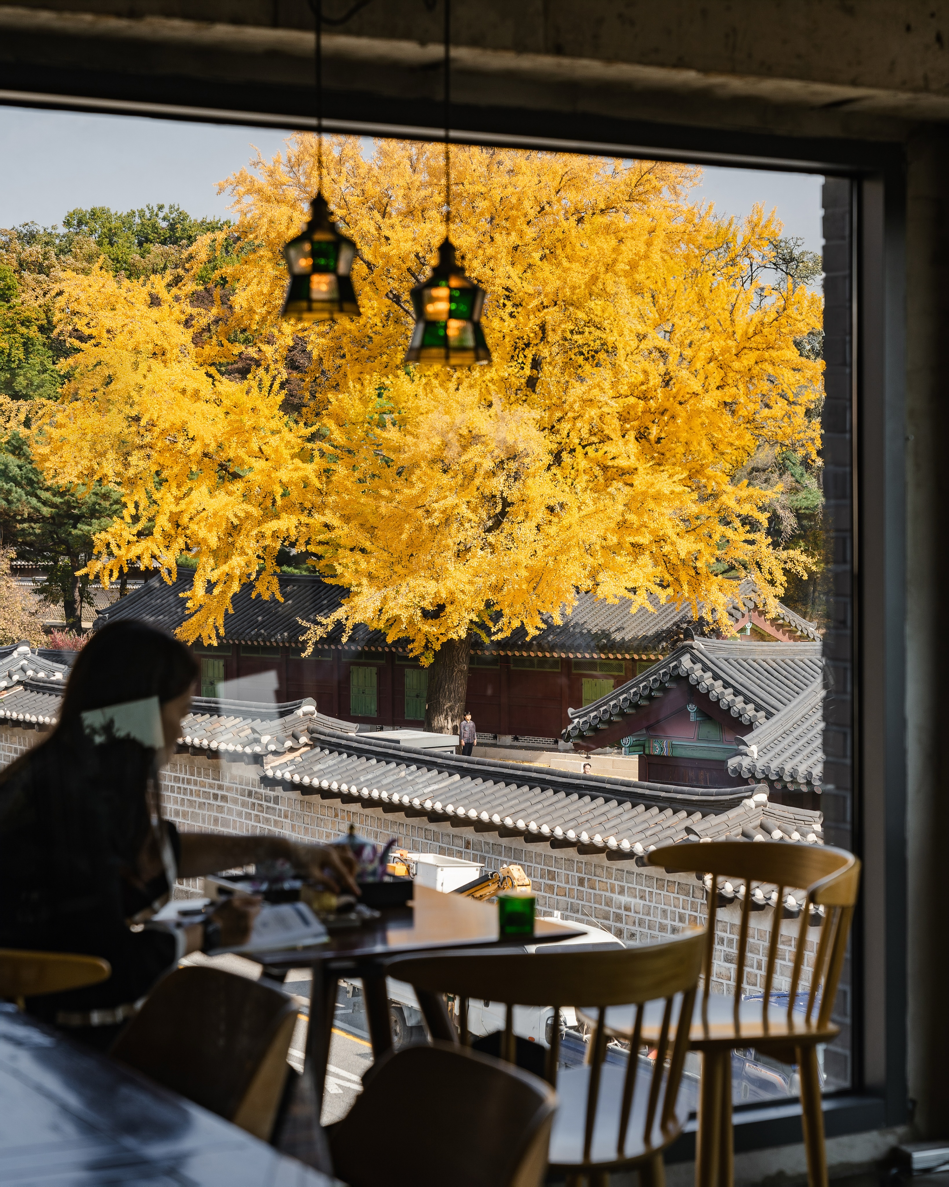 Jongno's Top 20 Spots For Autumn Foliage Views