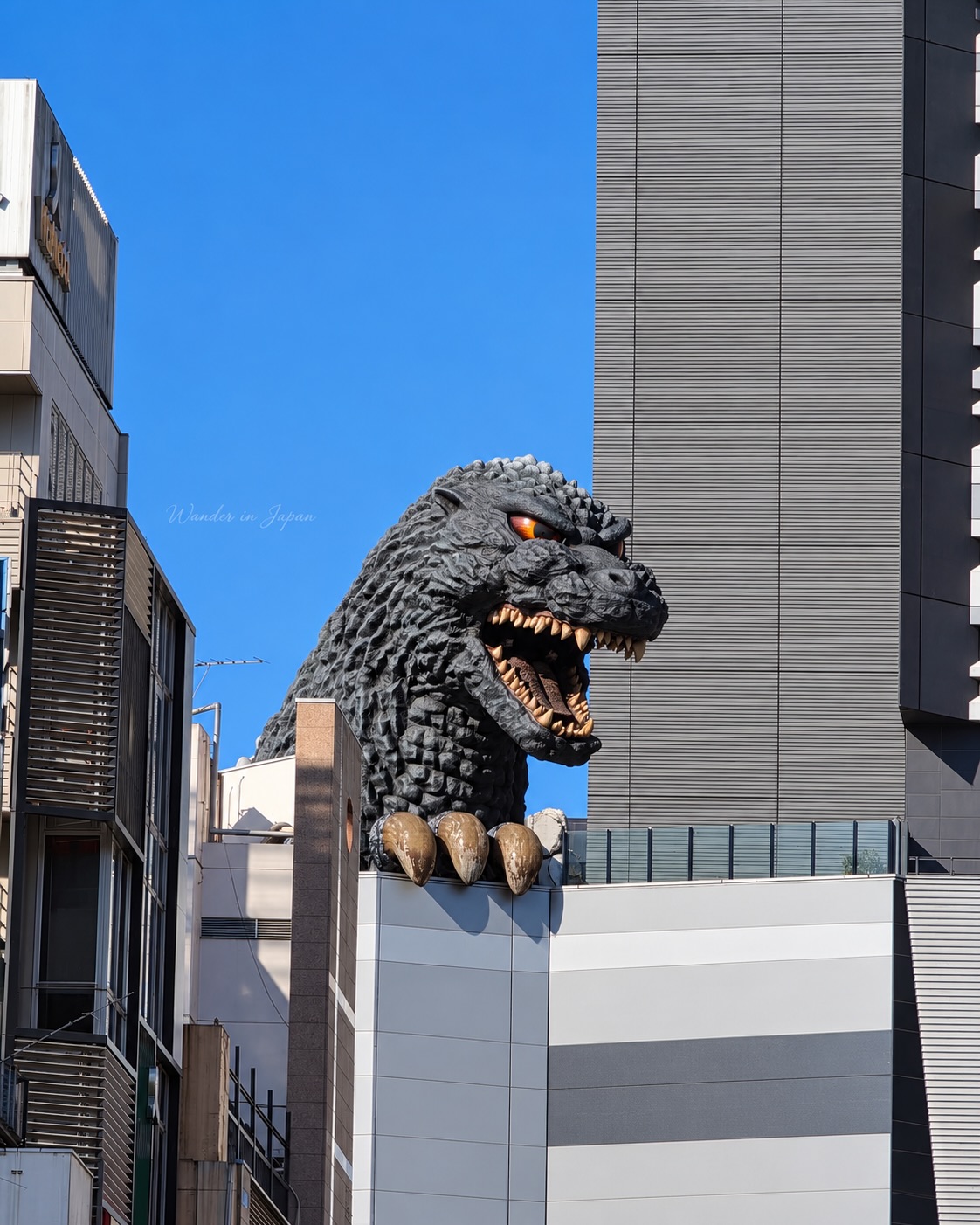 Godzilla Head Views Atop Hotel Gracery Shinjuku