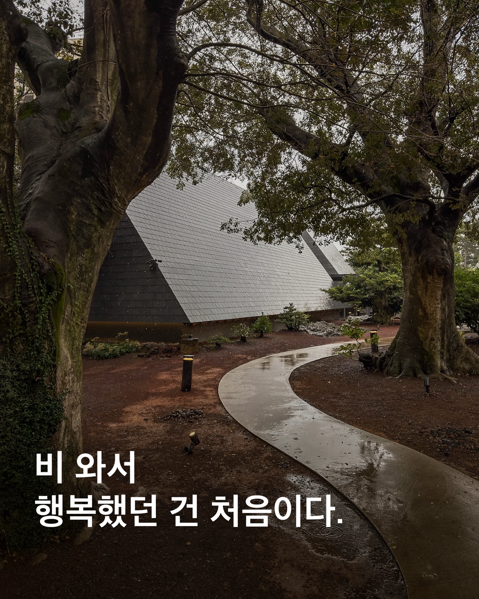 Jeju Cafe With Gardens And Great Bread