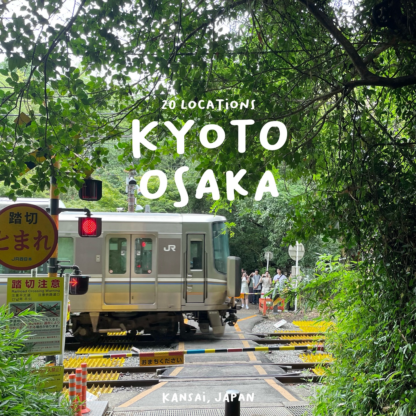 Kansai Region's Temples, Markets, and Theme Parks