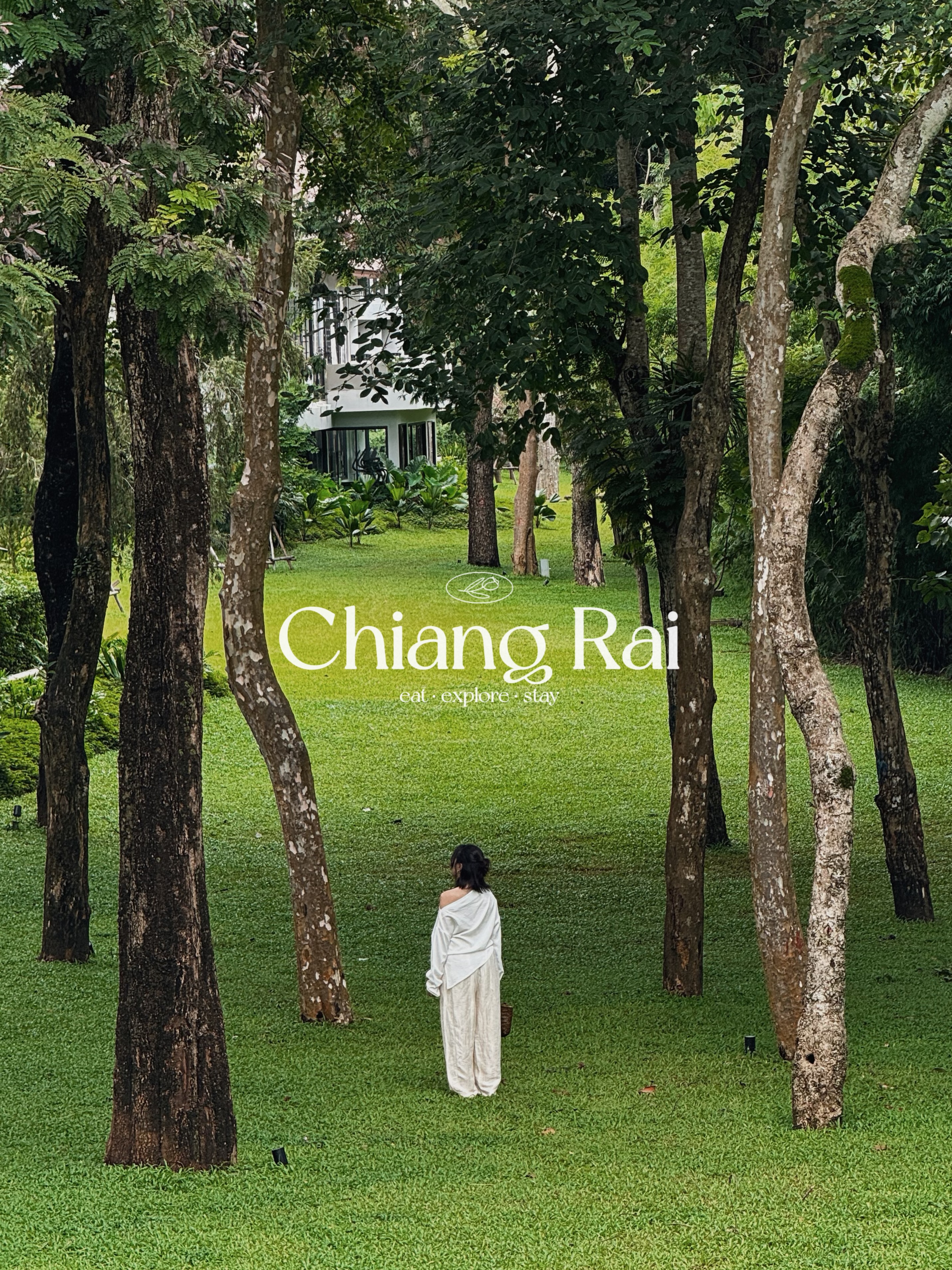 Explore Chiang Rai's Art, Food, and Temples