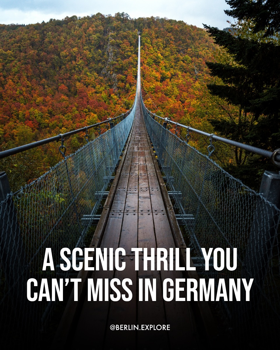 Germany's Geierlay Suspension Bridge: A Scenic Walk