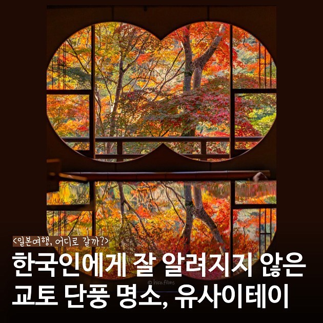 Kyoto Autumn Views and Kansai Travel Pass