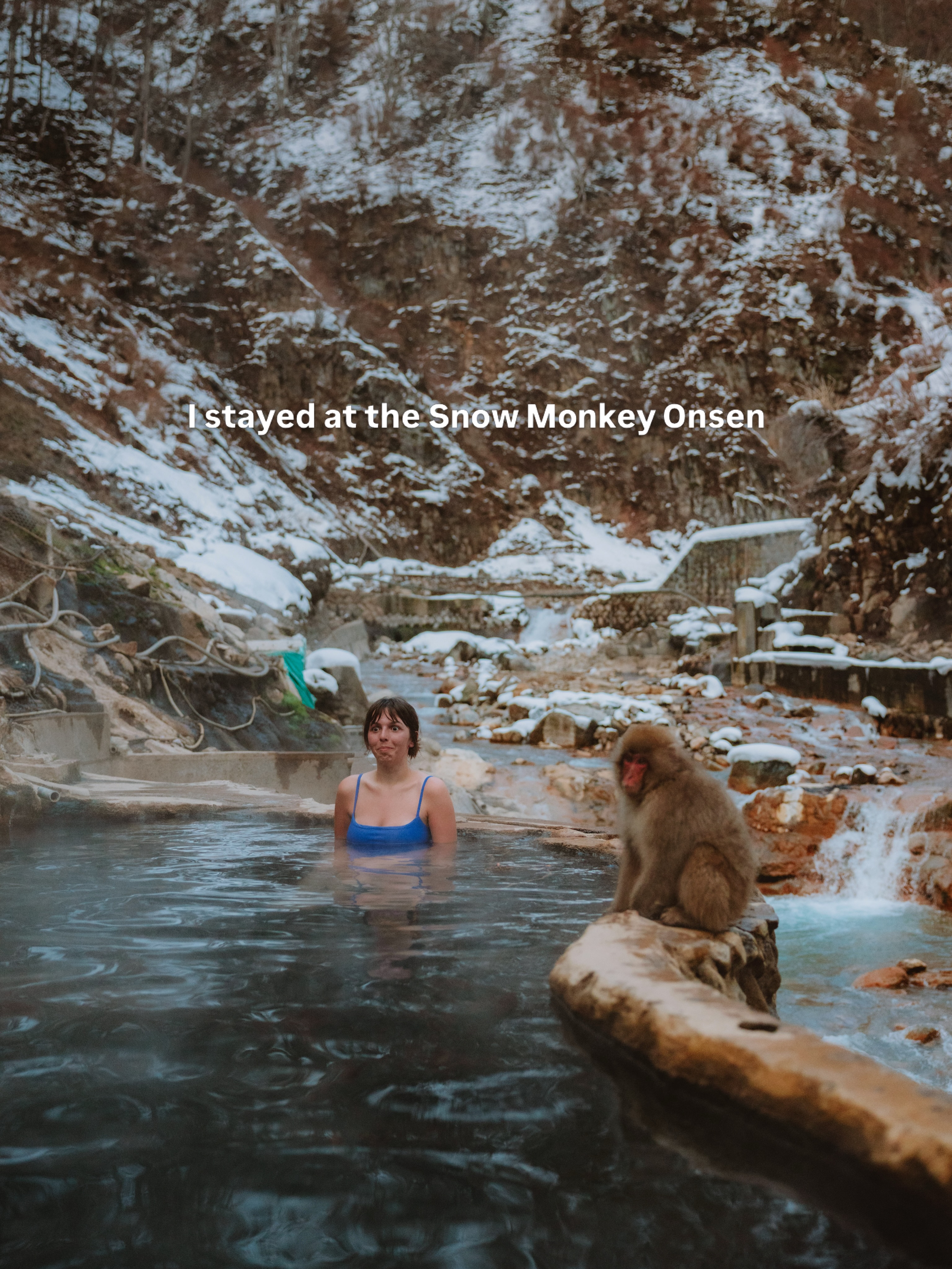 Snow Monkeys Bathe With Humans At Japanese Hot Springs