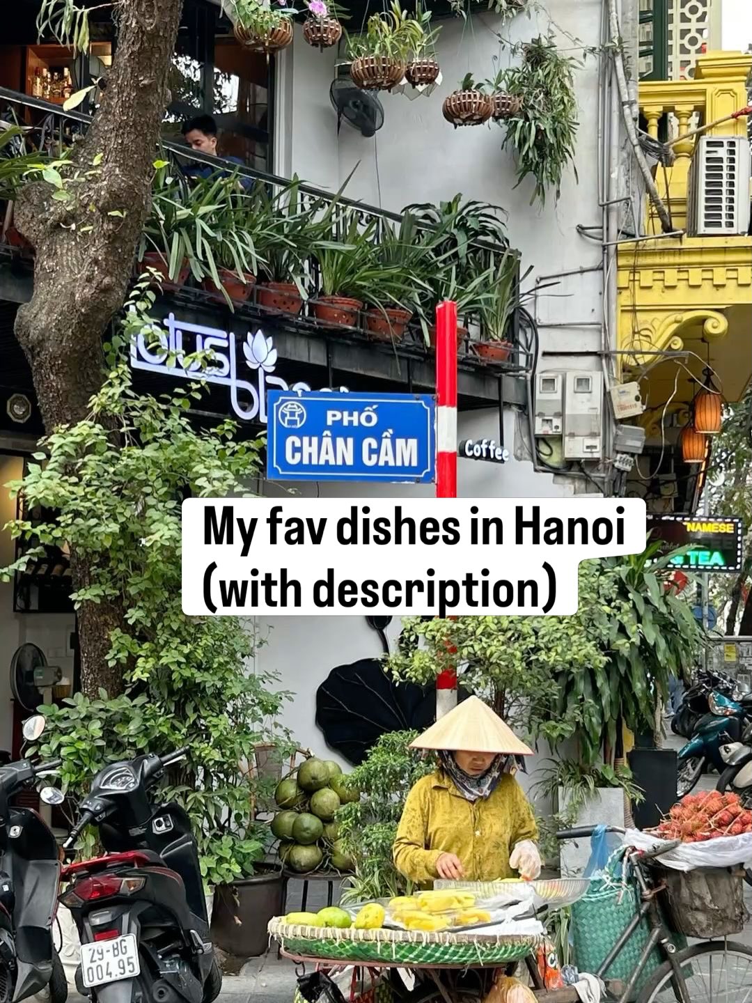 Hanoi's Diverse Culinary Delights and Coffee Experiences