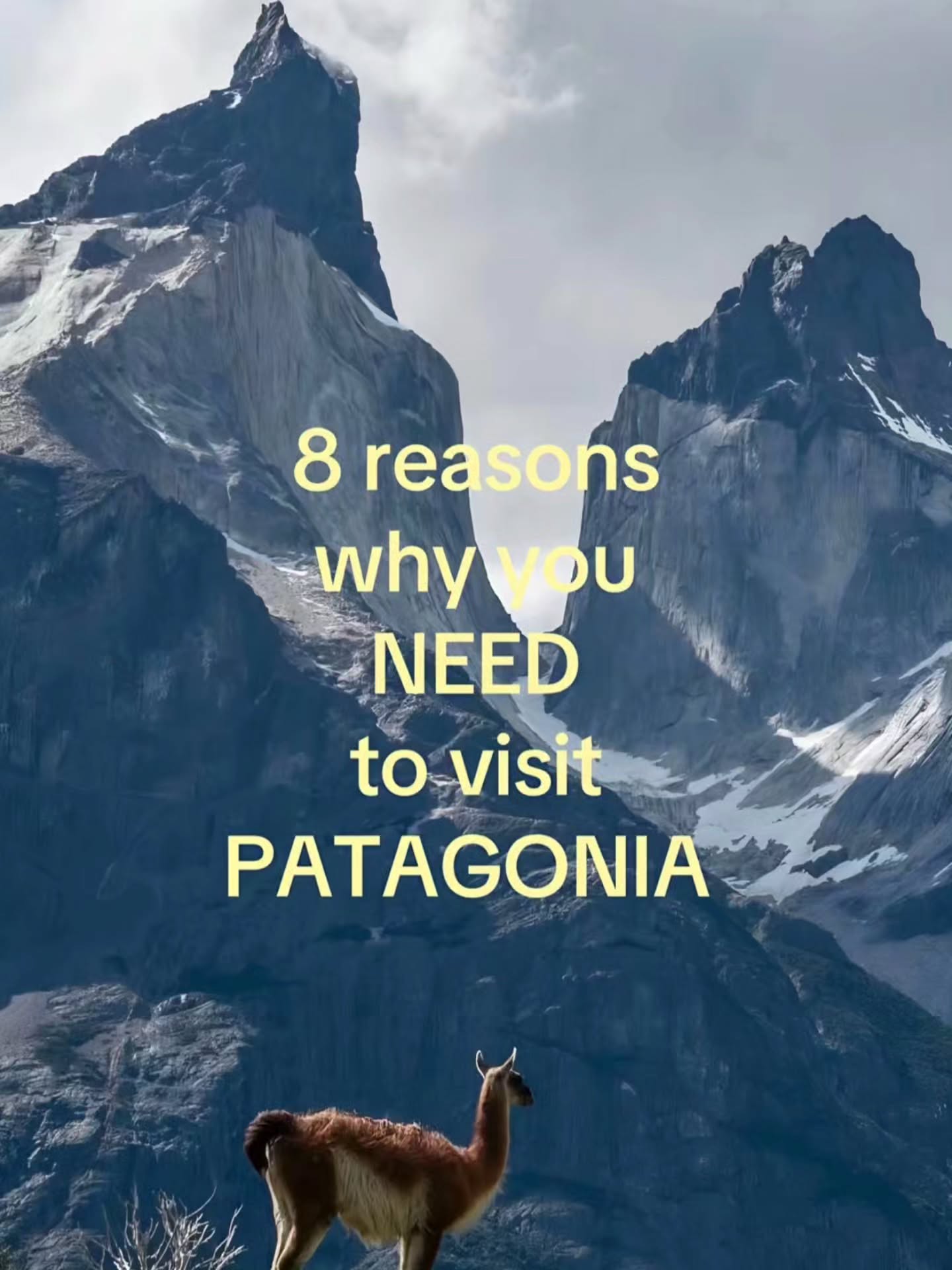 Patagonia's Majestic Natural Wonders and Adventures