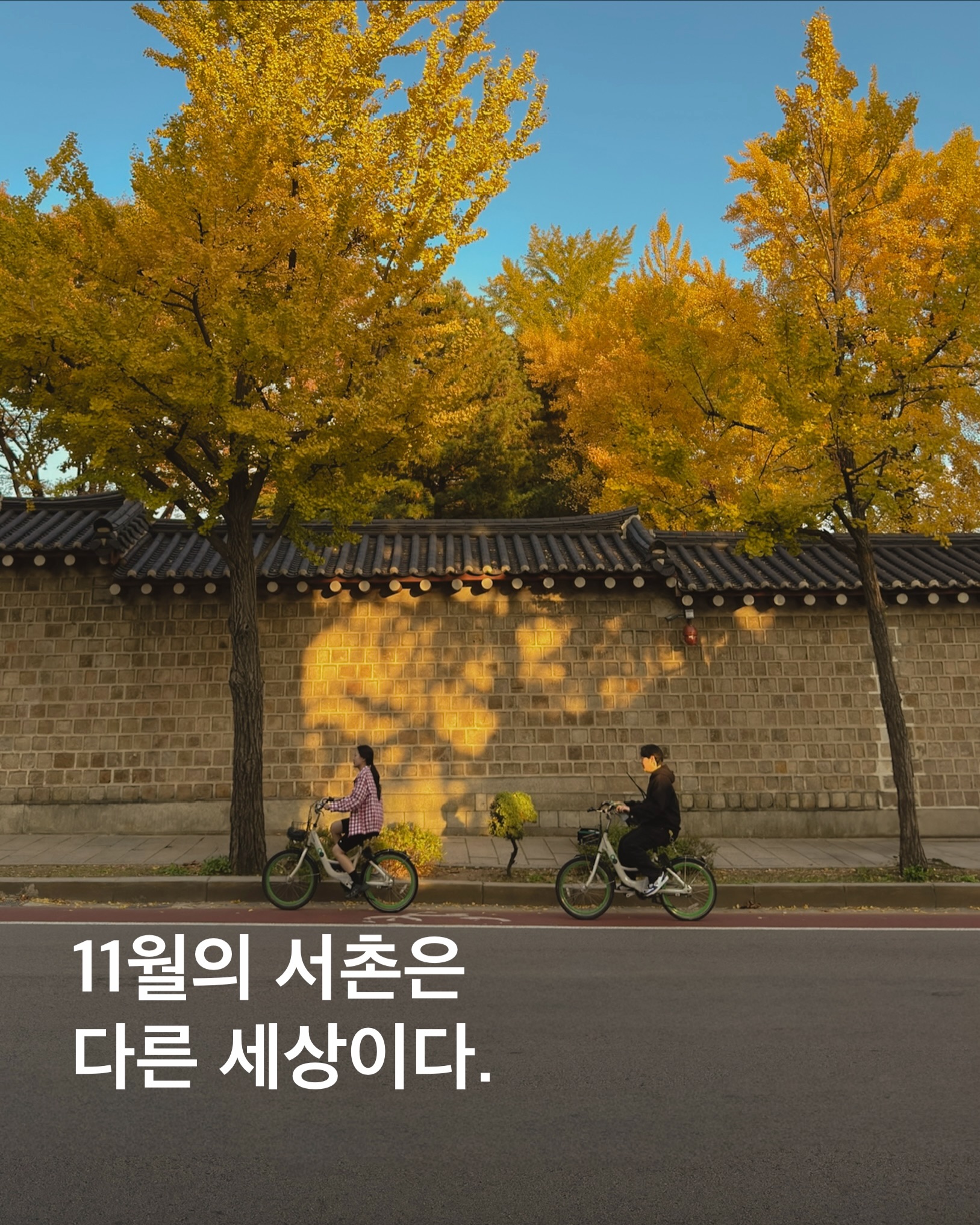 Autumn's Ginkgo Path in Seochon Hanok Village