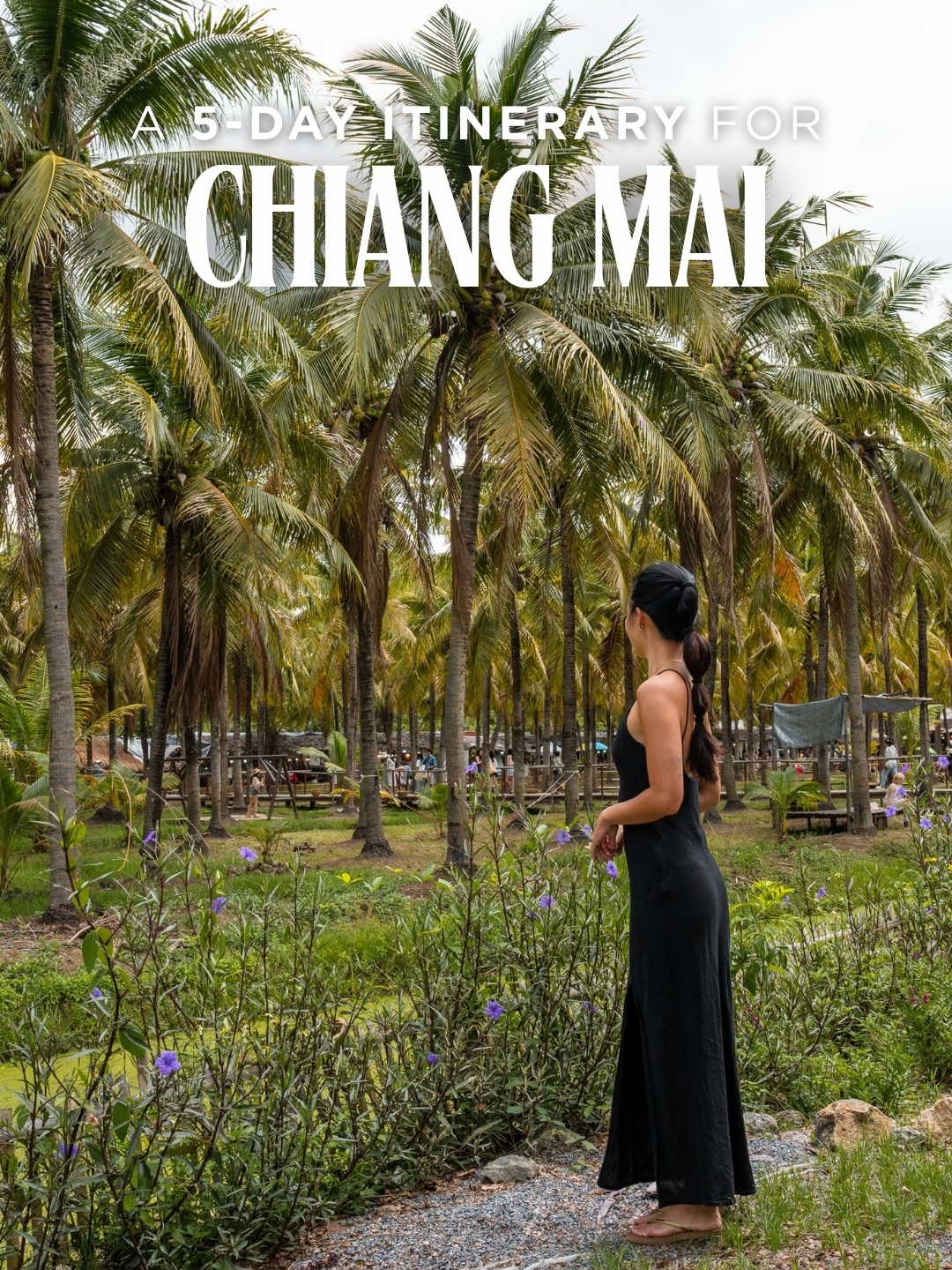 Chiang Mai Five-Day Itinerary: Temples, Markets, and Nature