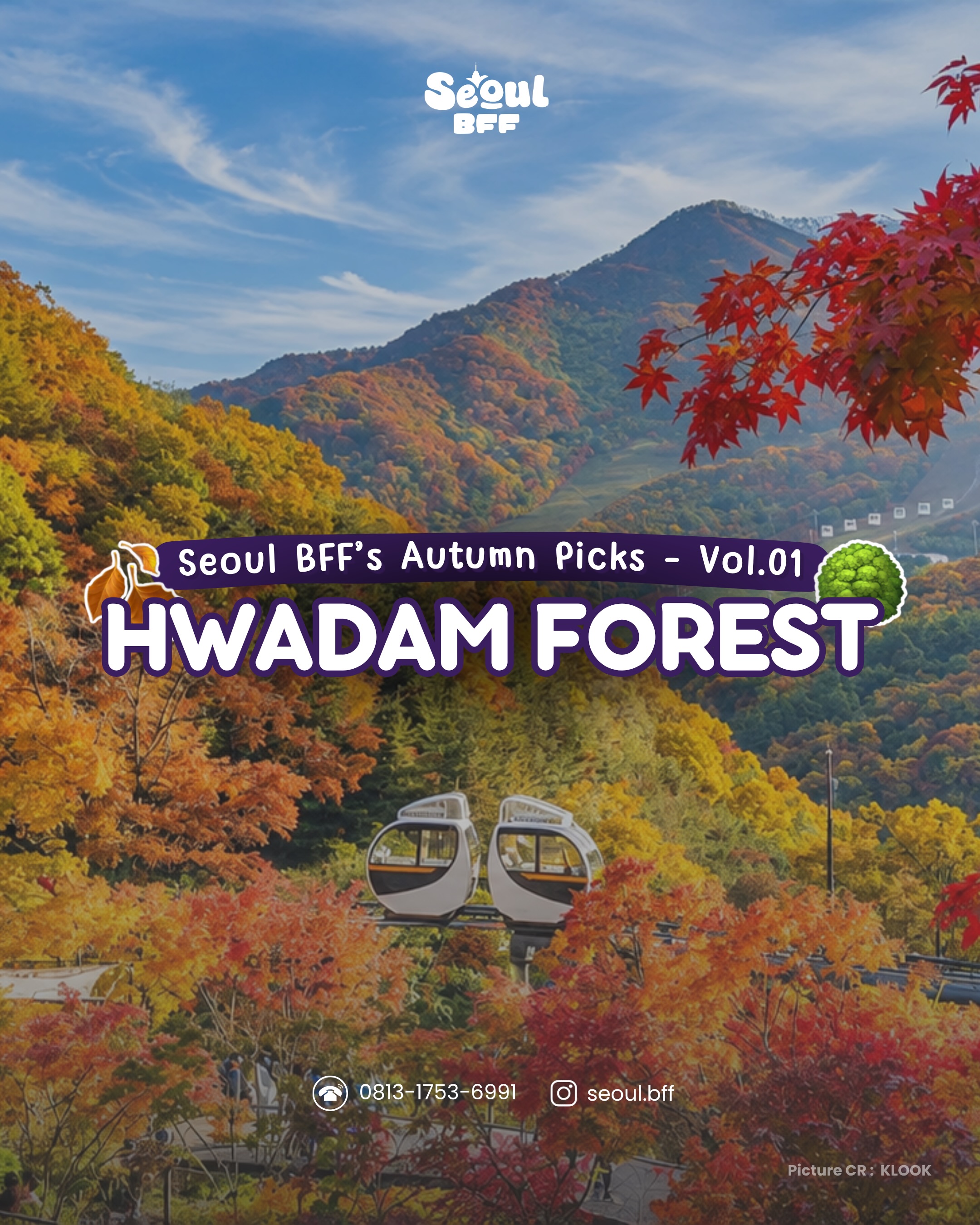 Hwadam Forest: Autumn Colors and Visitor Guide