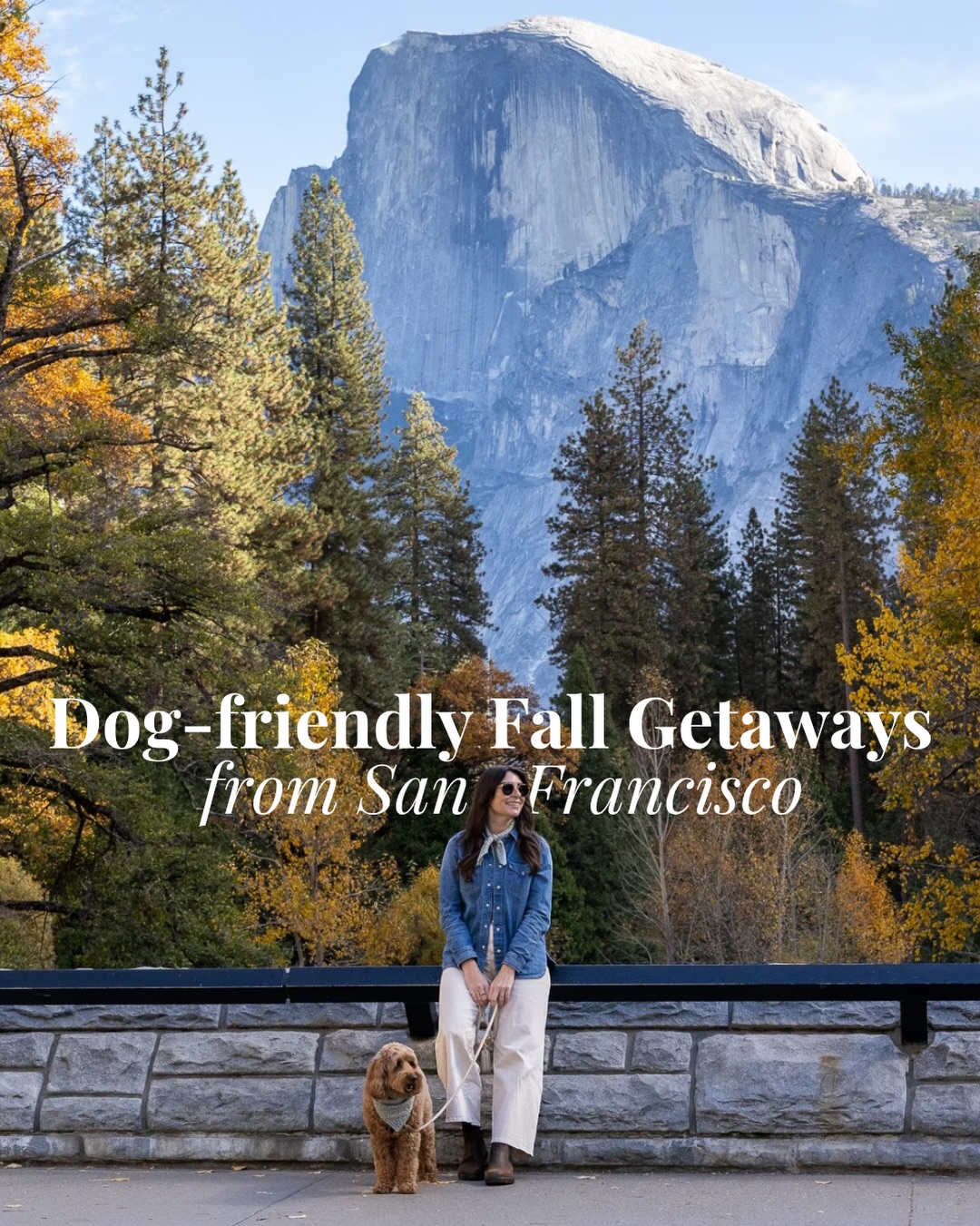 Northern California Dog-Friendly Fall Escapes