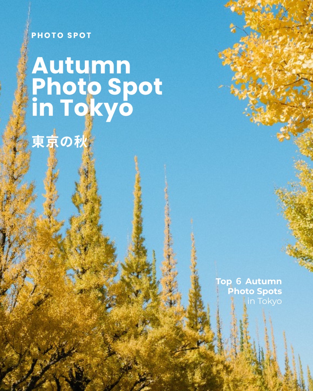 Tokyo's Top Spots For Autumn Foliage Viewing