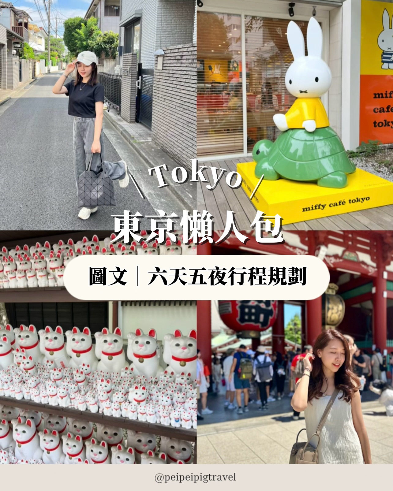 Tokyo Trip: Temples, Theme Parks, and Cafes