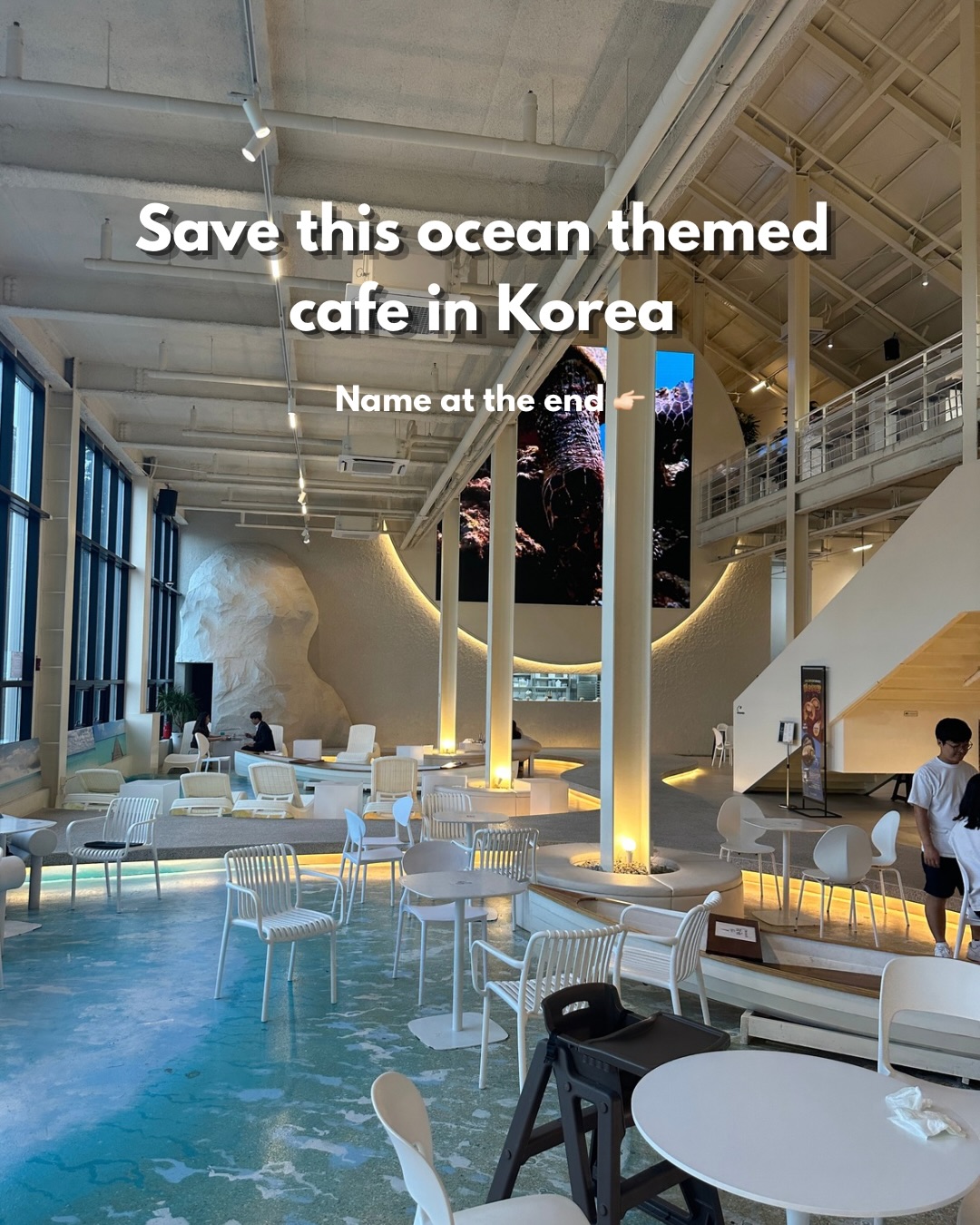 Susan Gongwon: Seoul's Immersive Ocean Cafe