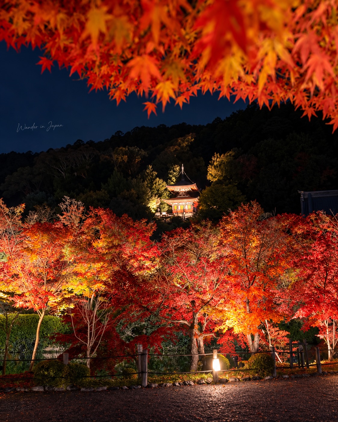 Eikando Zenrinji Temple Autumn Illumination