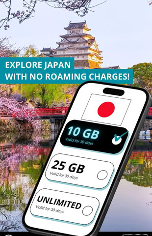 Explore Japan With Cherry Blossoms And Castle