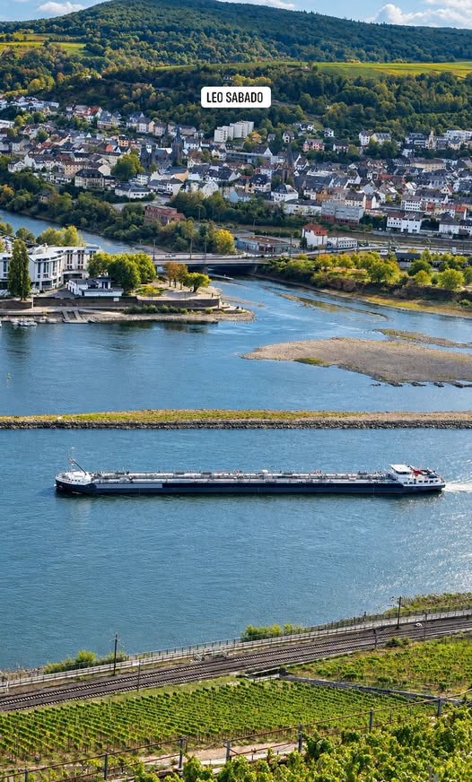 Rhine River Towns With Vineyards