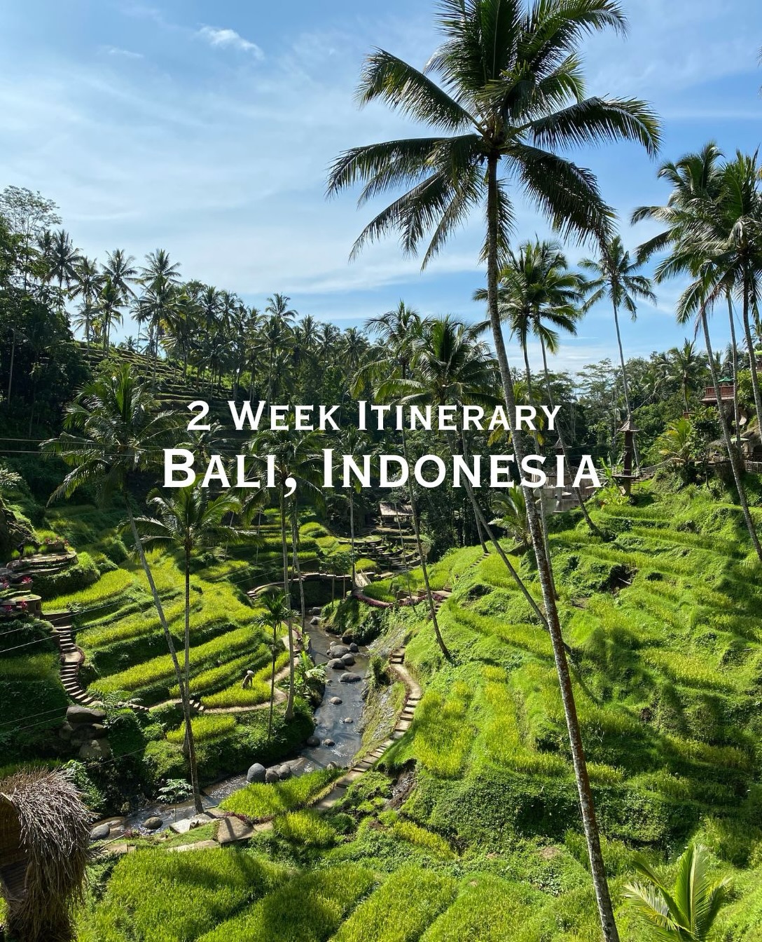 Bali's Top Spots: Ubud, Nusa Penida, Canggu, Uluwatu