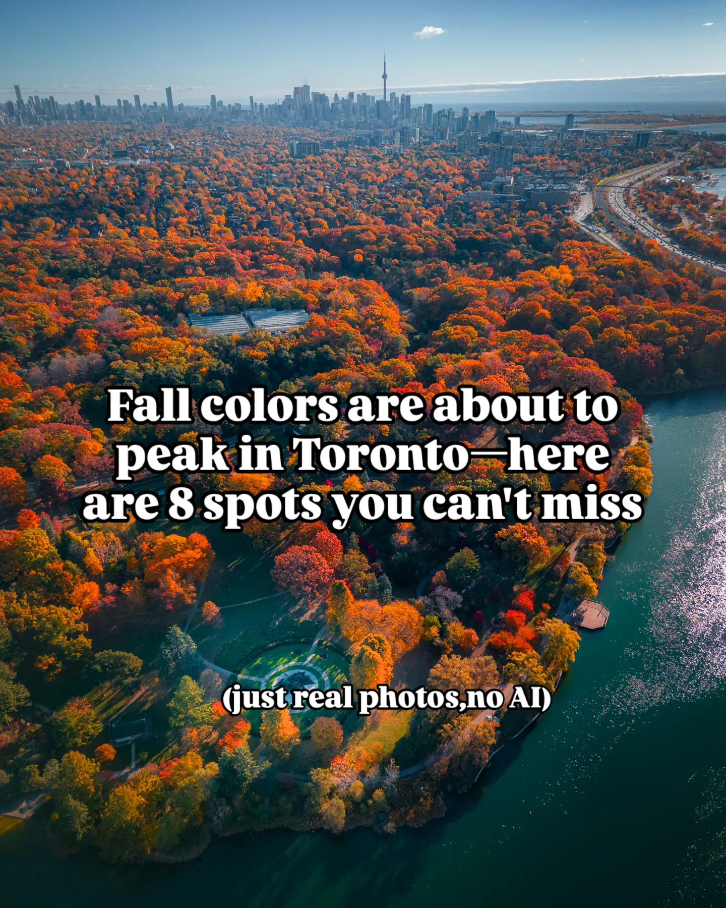 Toronto Parks For Vibrant Autumn Foliage