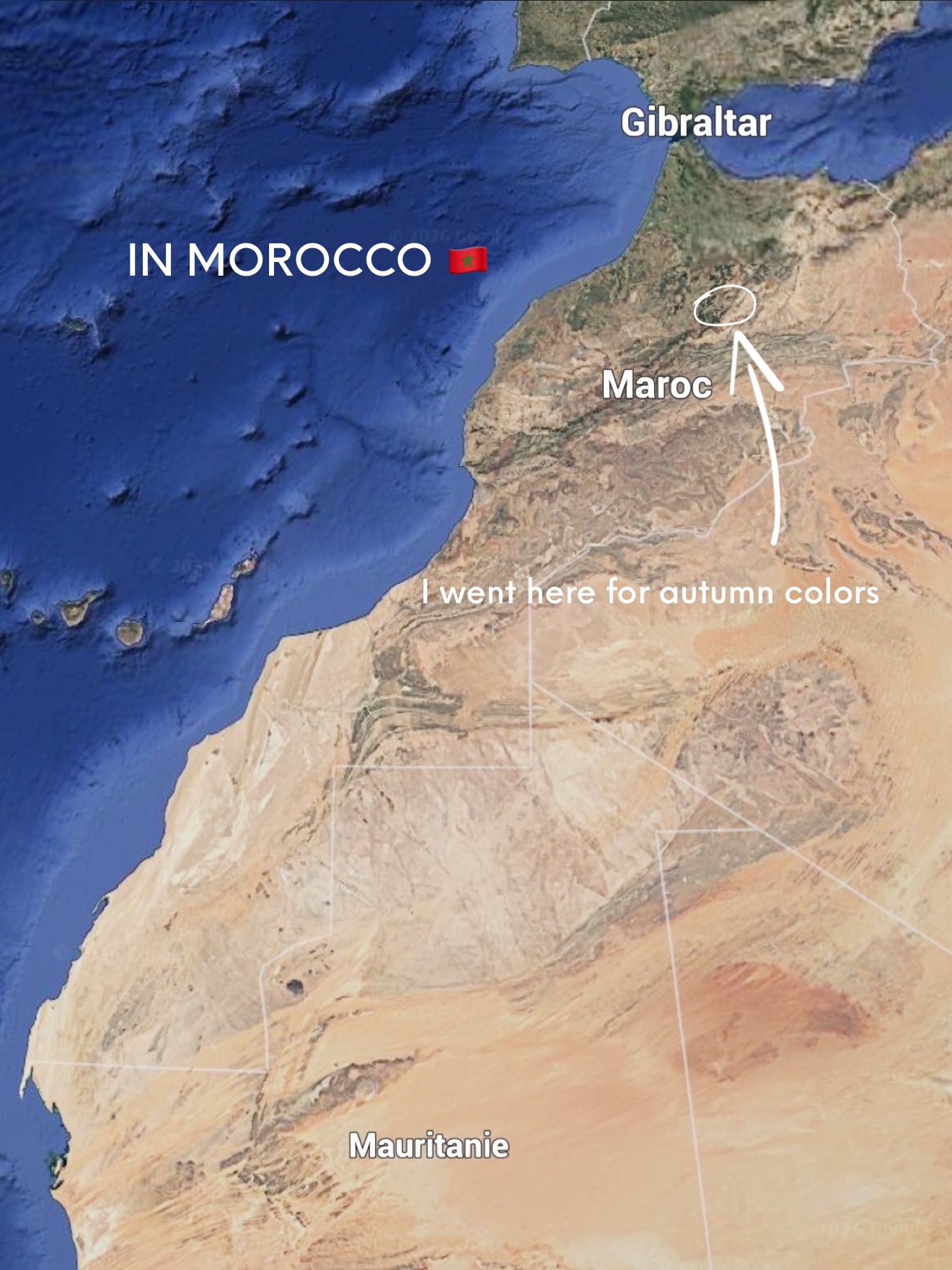 Moroccan Landscapes: Forests, Deserts, and Coast
