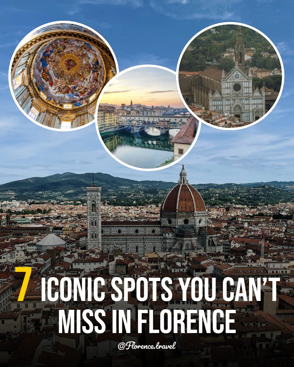 Florence's Top Seven Destinations and Experiences