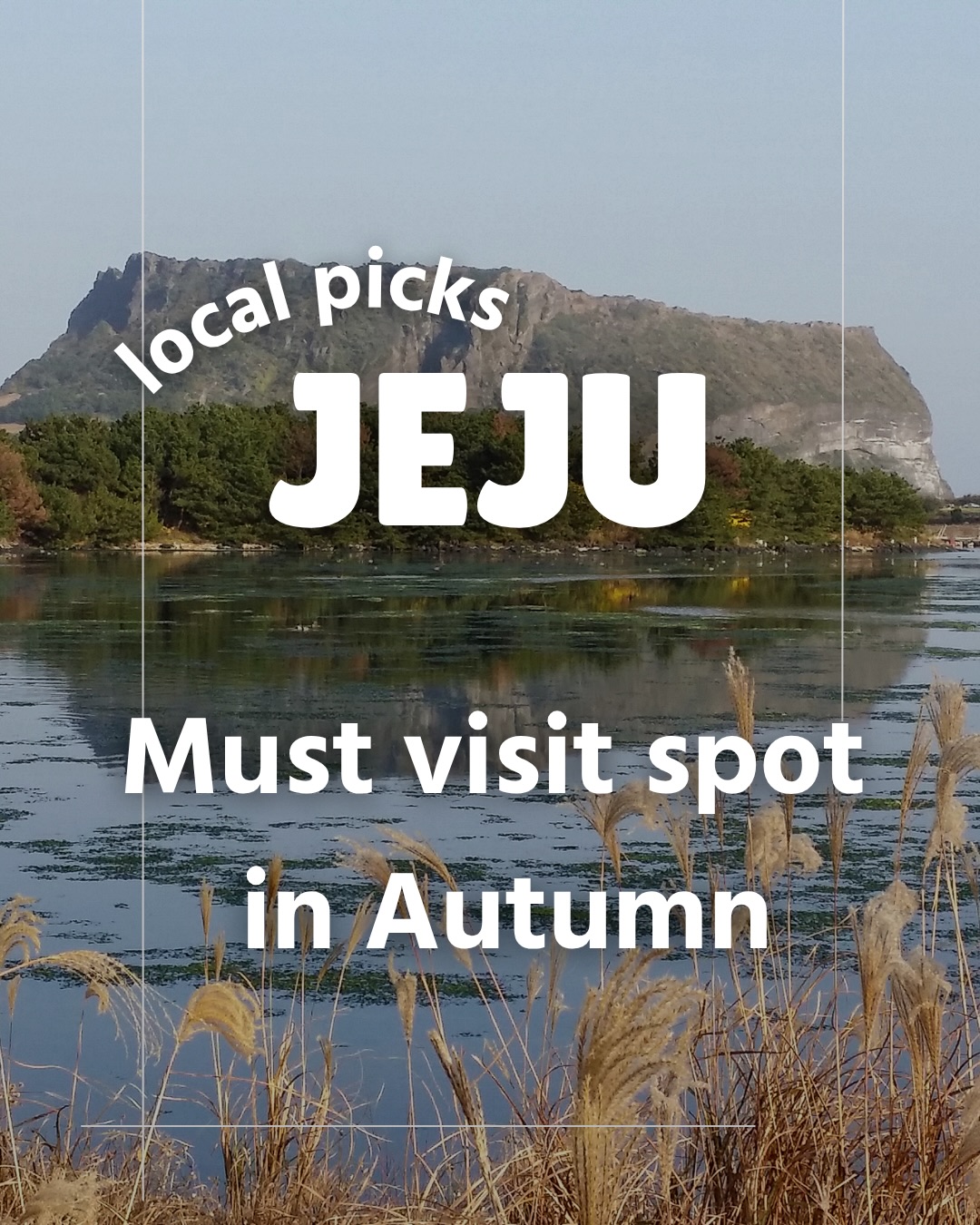 Autumn Beauty Across Jeju Island Destinations