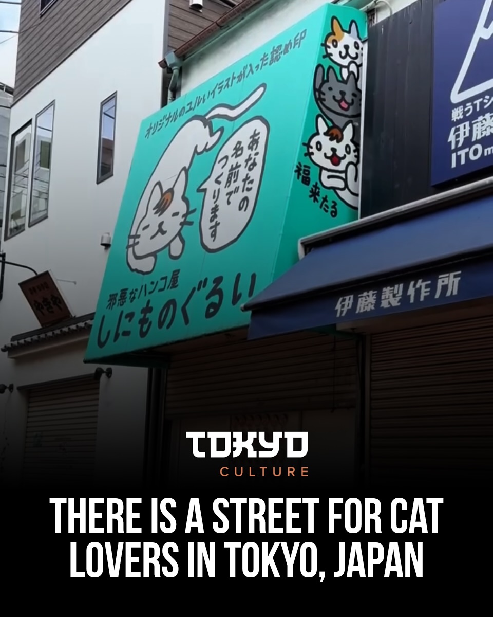 Yanaka Ginza: Tokyo's Nostalgic Cat-Themed Shopping Street