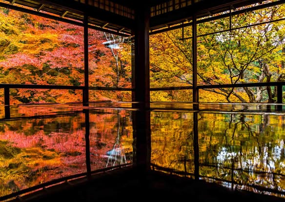Kyoto's Top Autumn Foliage and Temple Spots