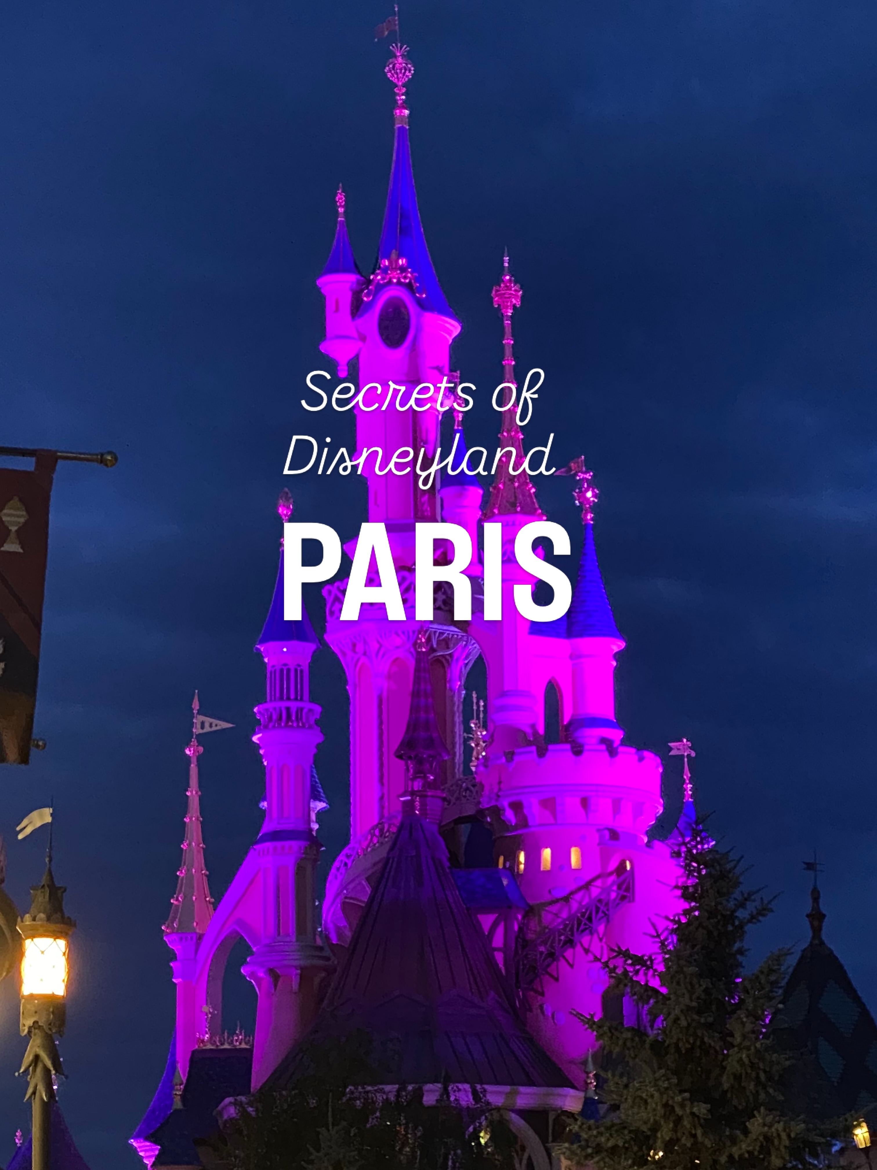 Disneyland Paris's Unique Attractions