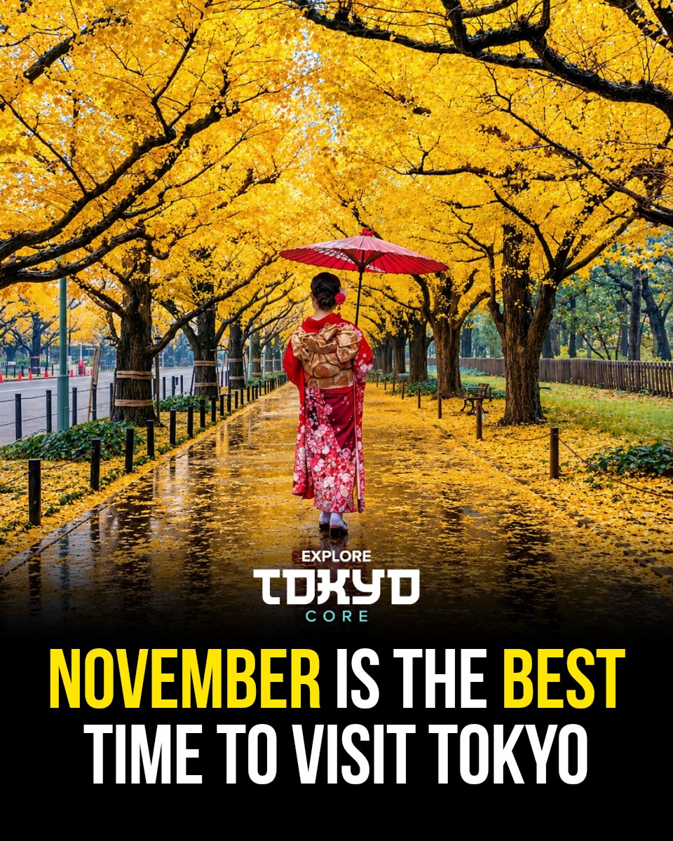 Tokyo's Best Autumn Leaves And Day Trips