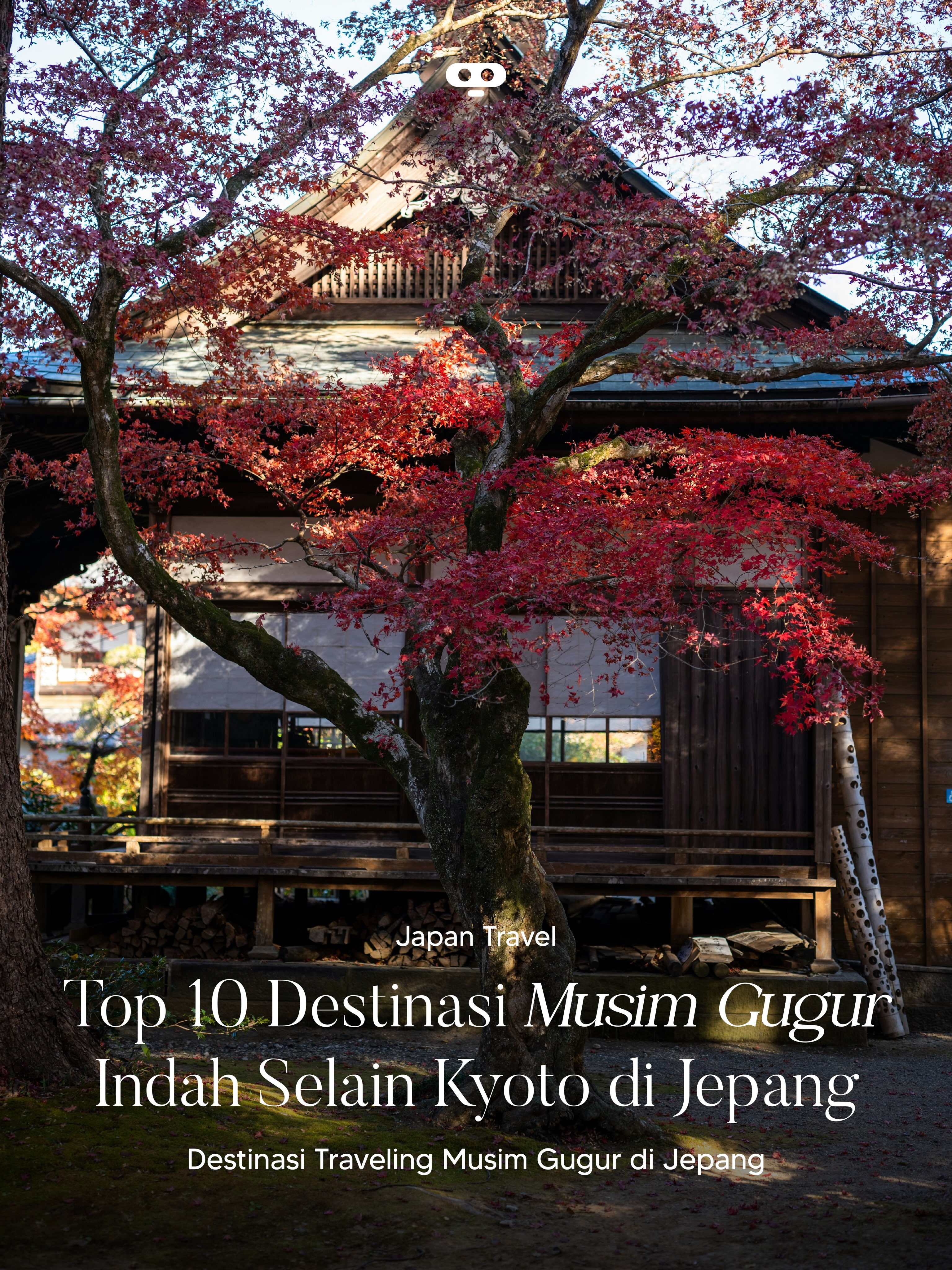 Japan's Autumn Foliage Destinations Beyond Kyoto