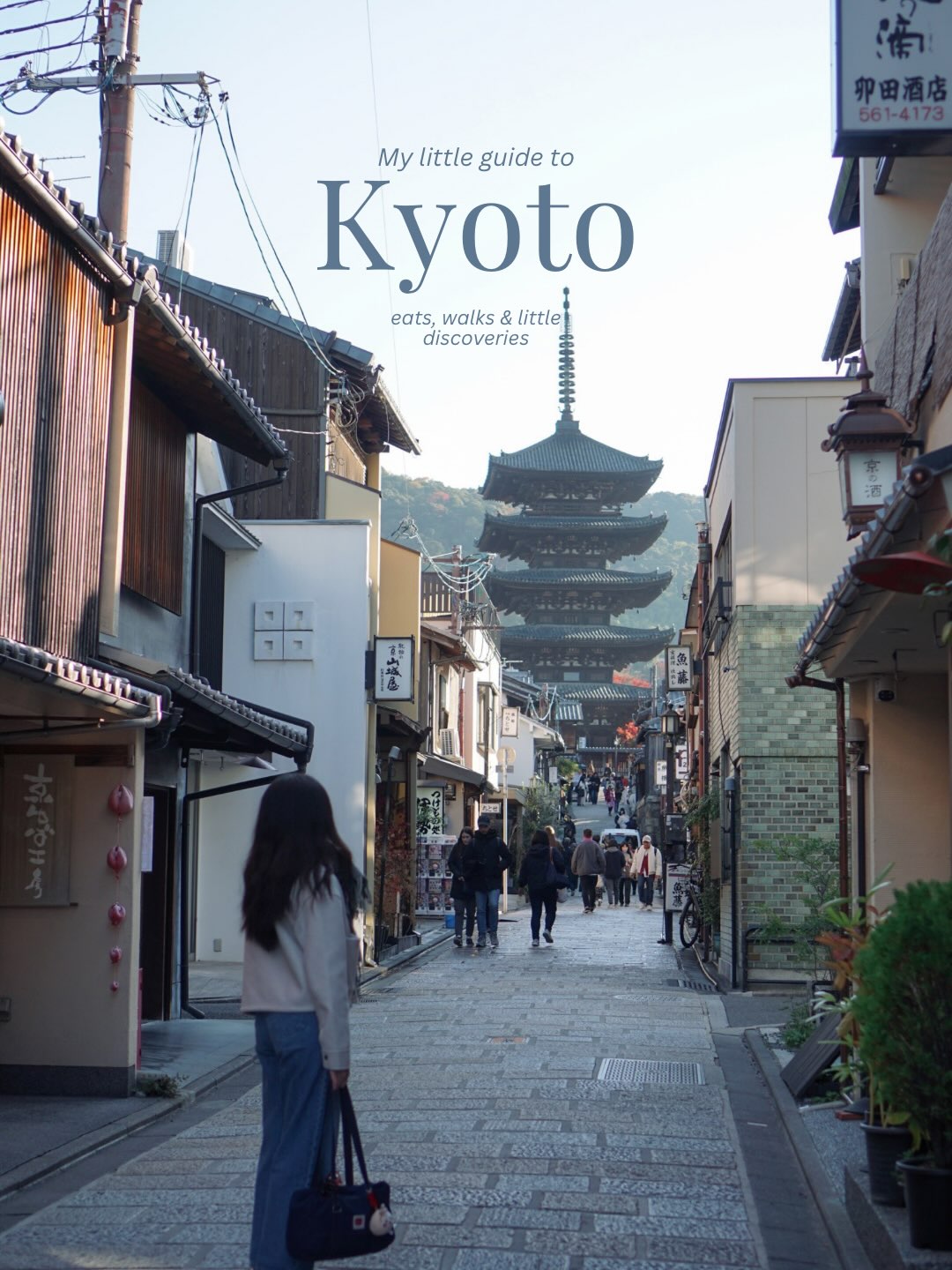 Kyoto Travel Guide: Temples, Shrines, and Culinary Delights