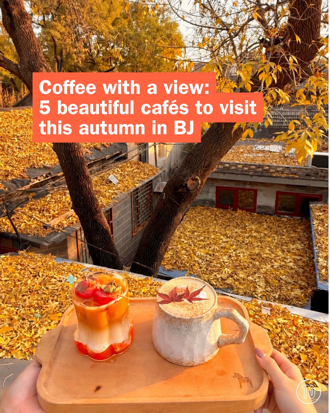 Beijing Cafes With Autumn Views