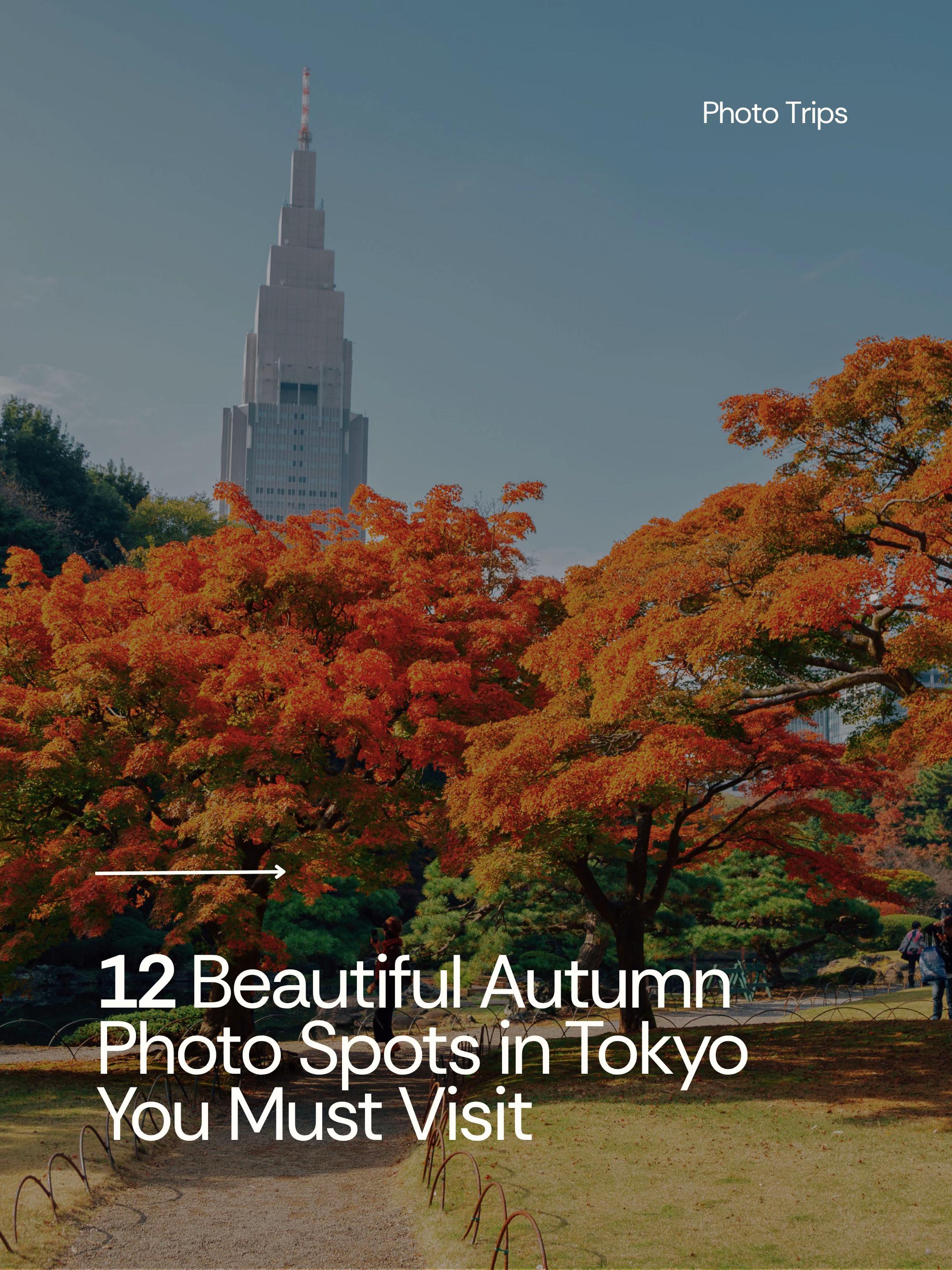 Tokyo's Best Autumn Foliage Photo Spots