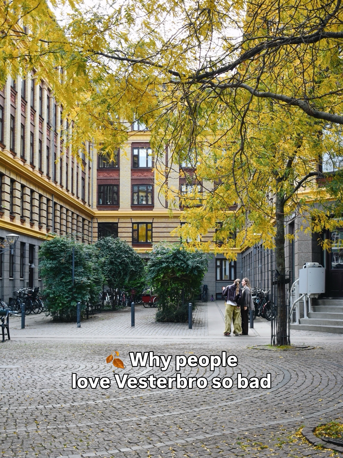 Discover Vesterbro Copenhagen's Unique Neighborhood Spots