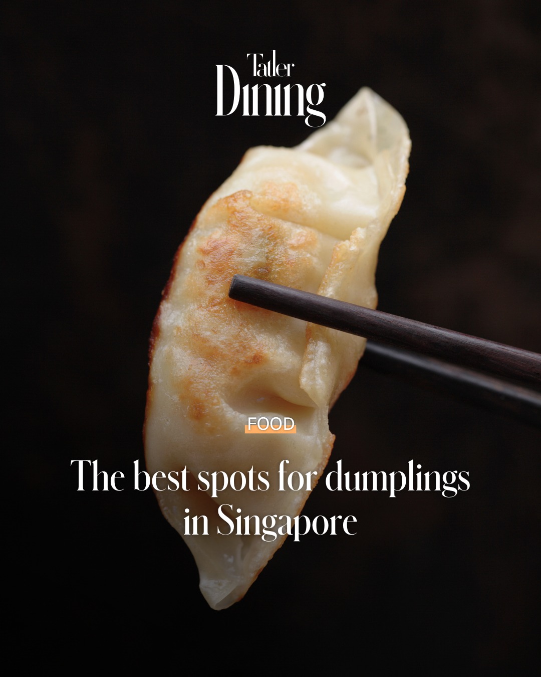 Five Singapore Spots For Delicious Dumplings