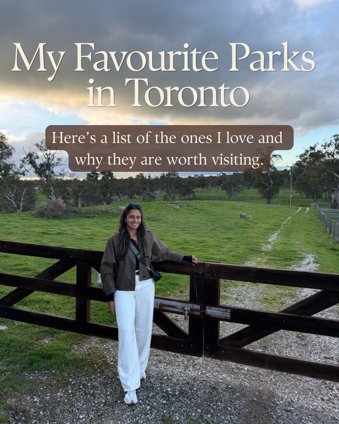 Favorite Toronto Parks For Fall Walks