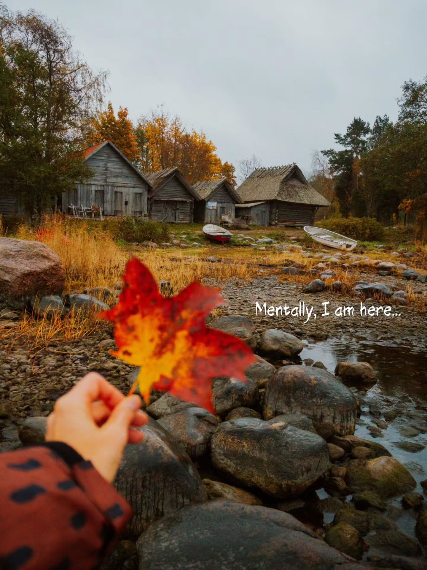 Estonia Autumn Escape: Tallinn, Nature, and Coastal Villages