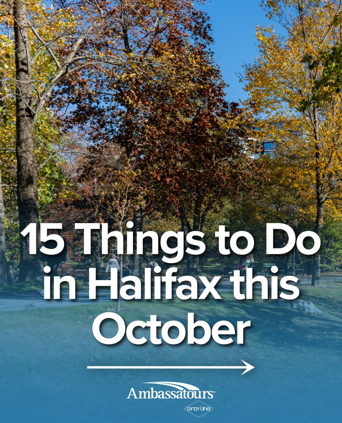 Halifax Fall Festivals and Spooky Season Events