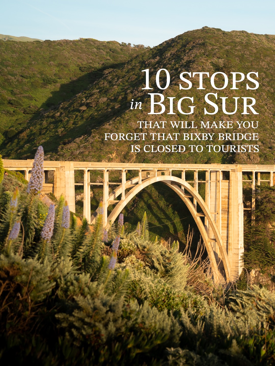 Big Sur's Natural Beauty and Scenic Stops