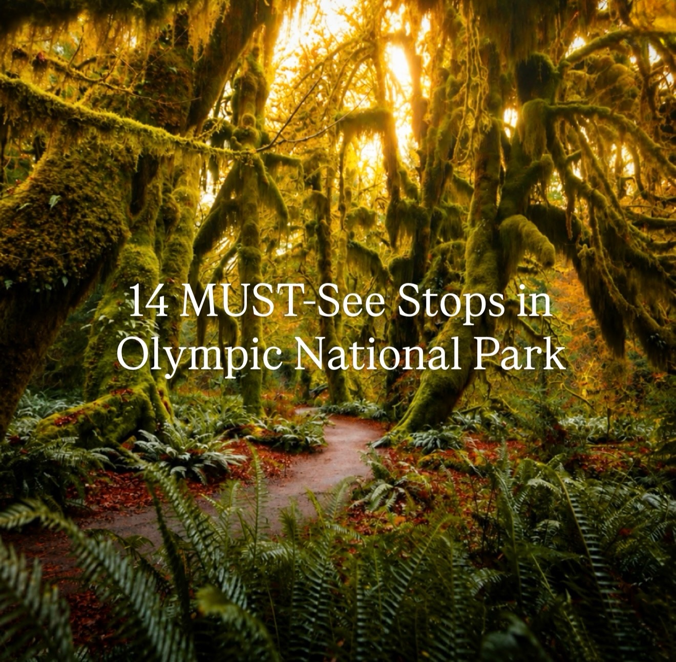Olympic National Park: Diverse Pacific Northwest Landscapes