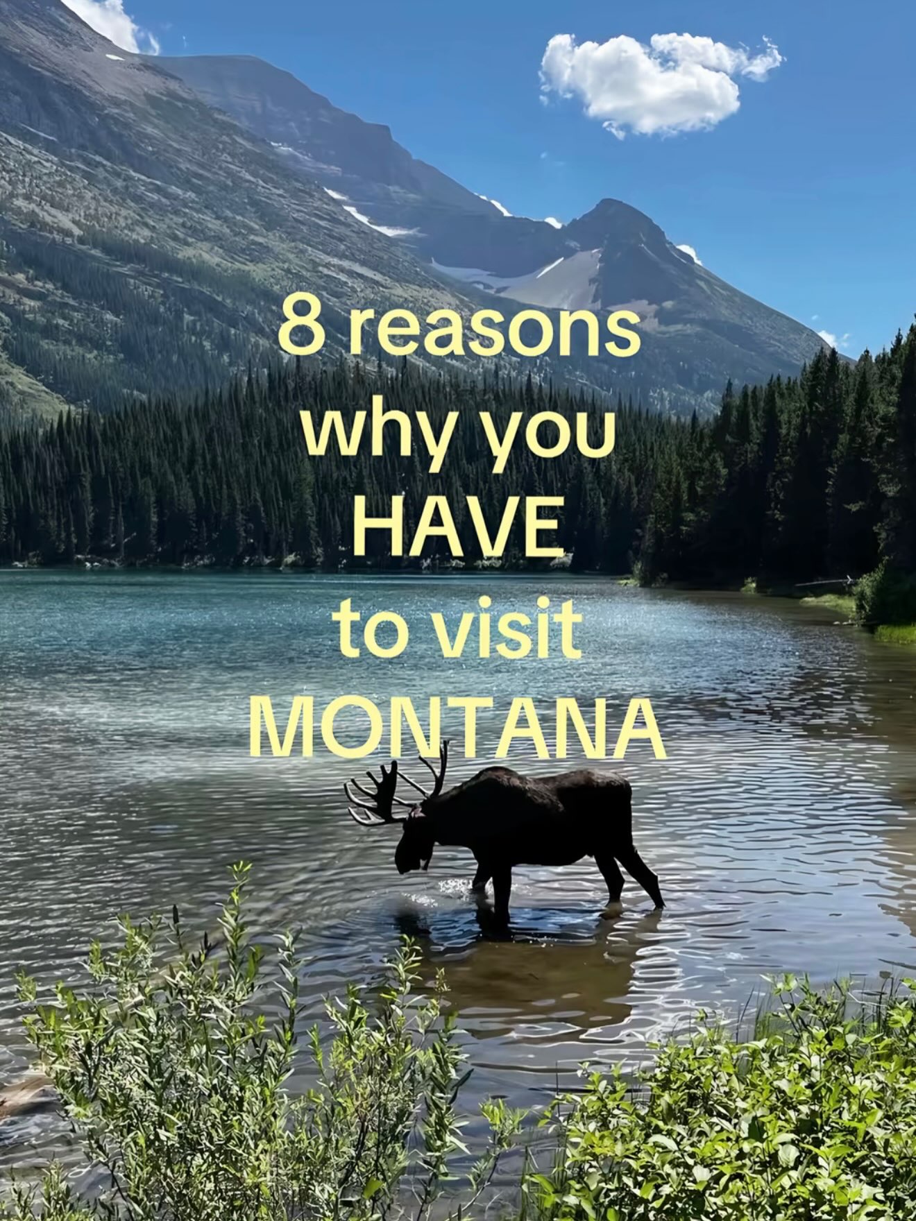 Montana Adventures: Mountains, Parks, and Wildlife