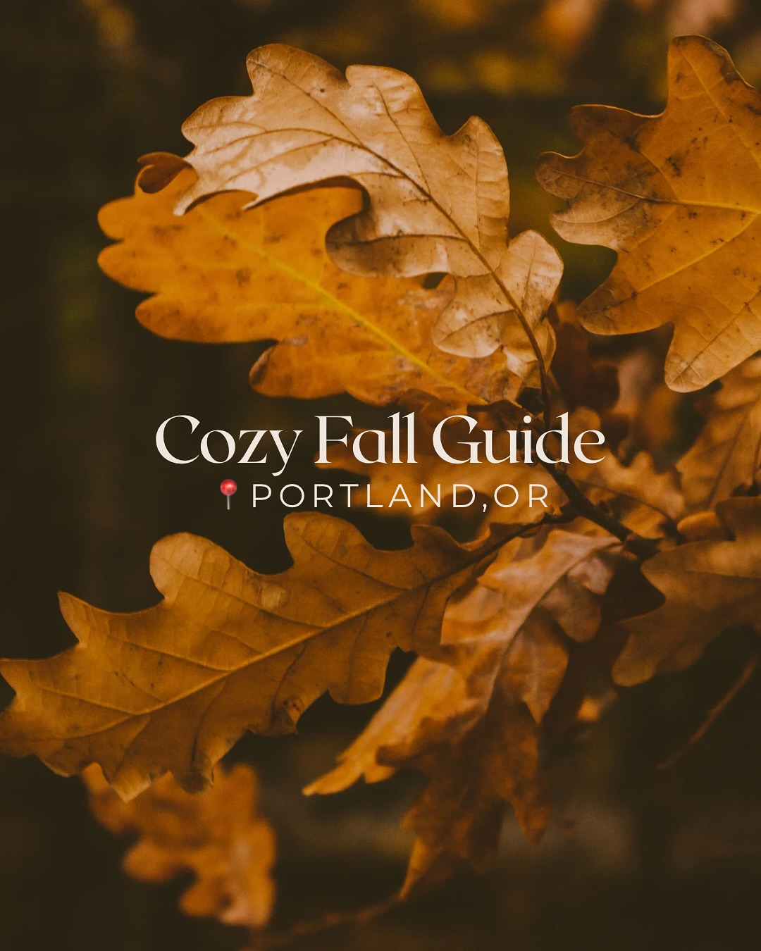 Portland Fall Guide: Activities, Food, and Drink