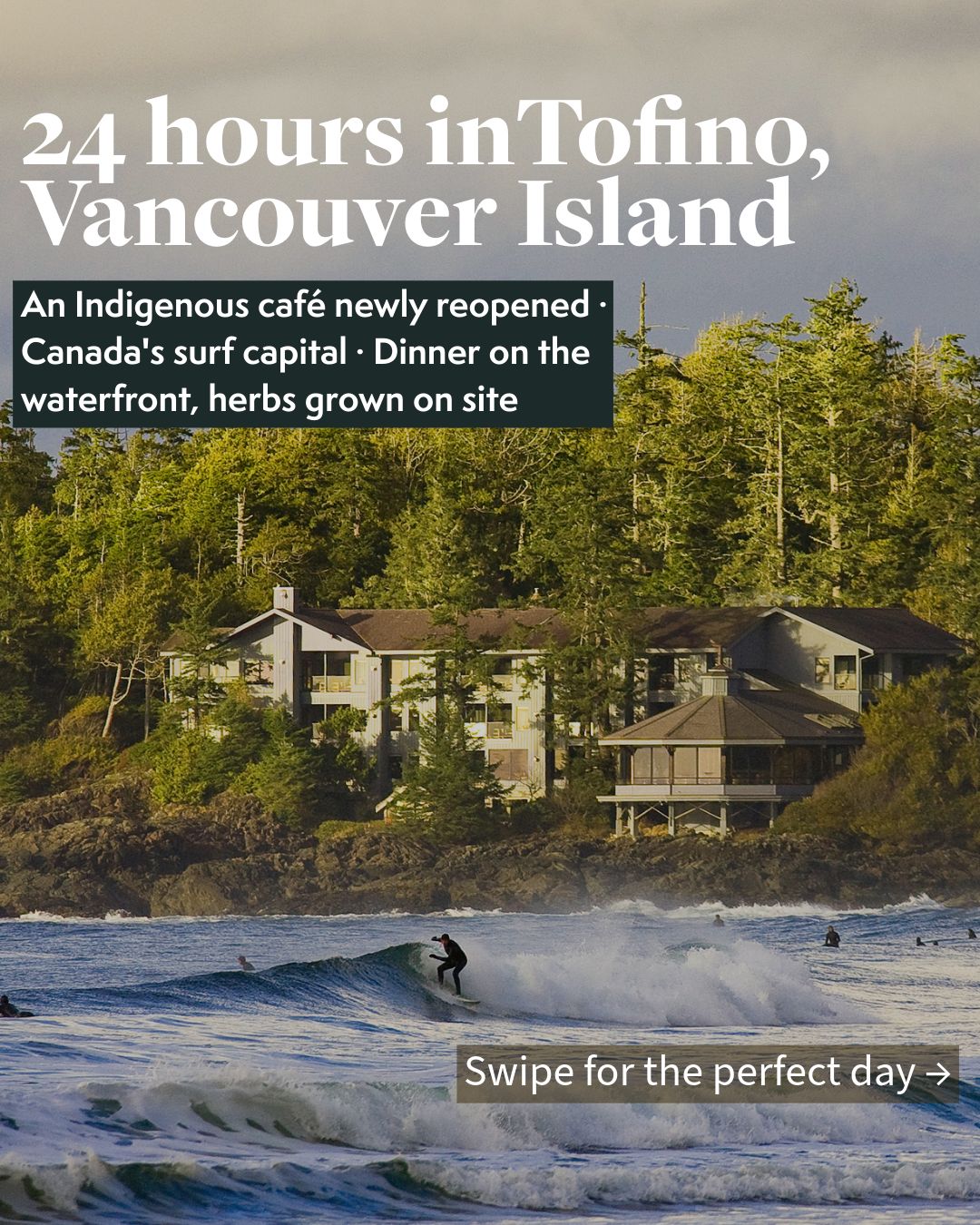 Tofino: A 24-Hour Surf, Wildlife, and Nature Itinerary