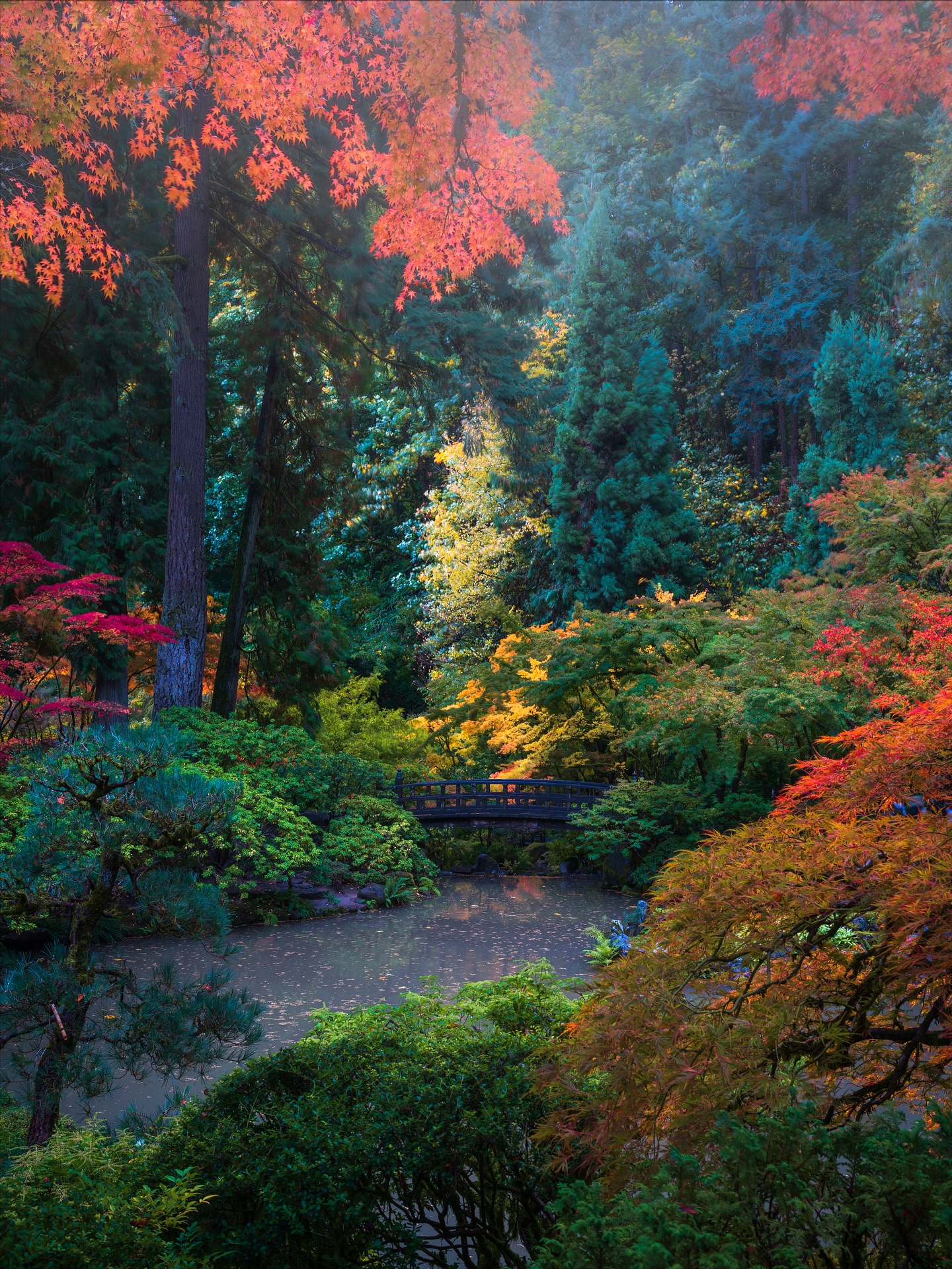 Portland Japanese Garden Autumn Colors