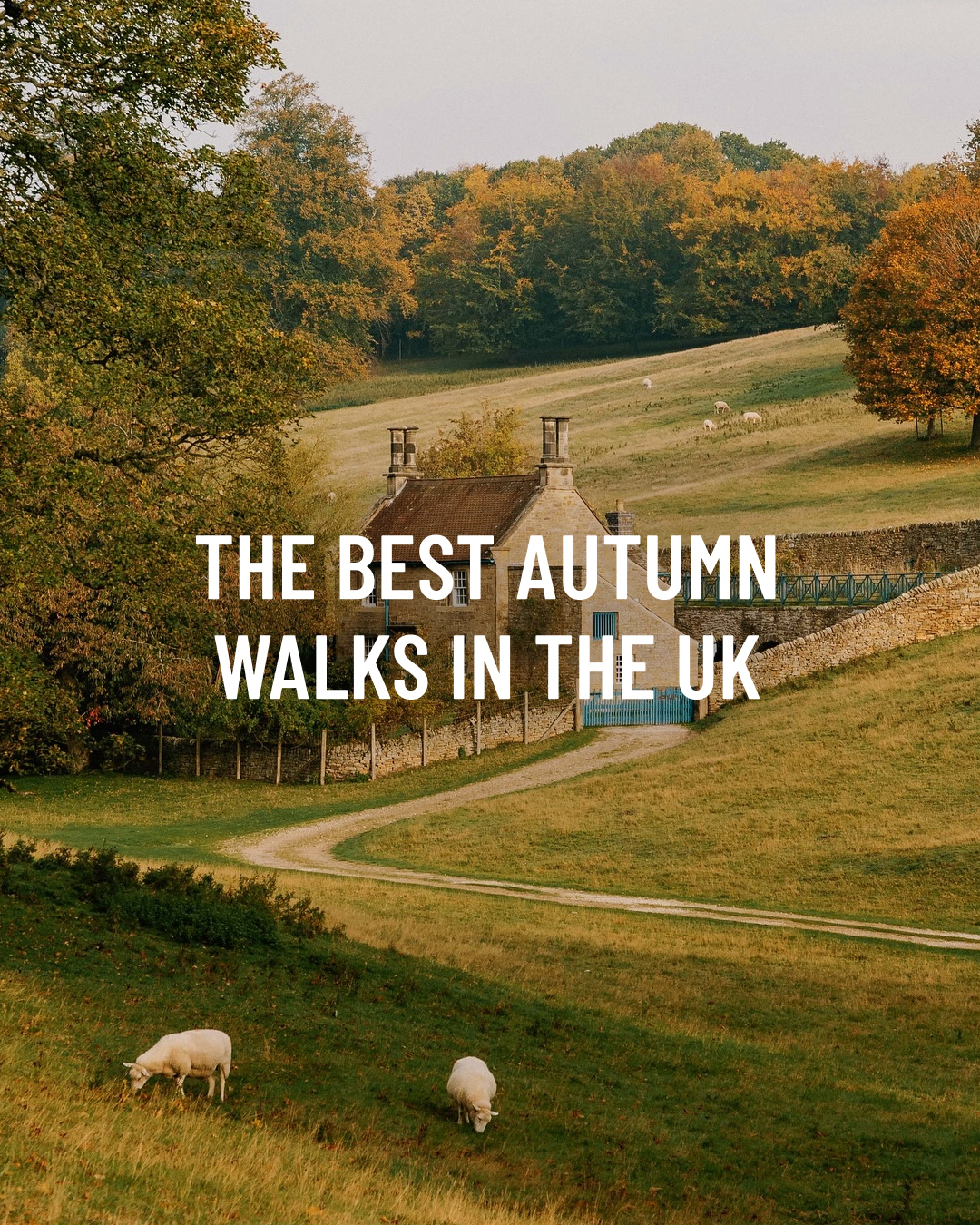 Scenic Autumn Walks Across The UK