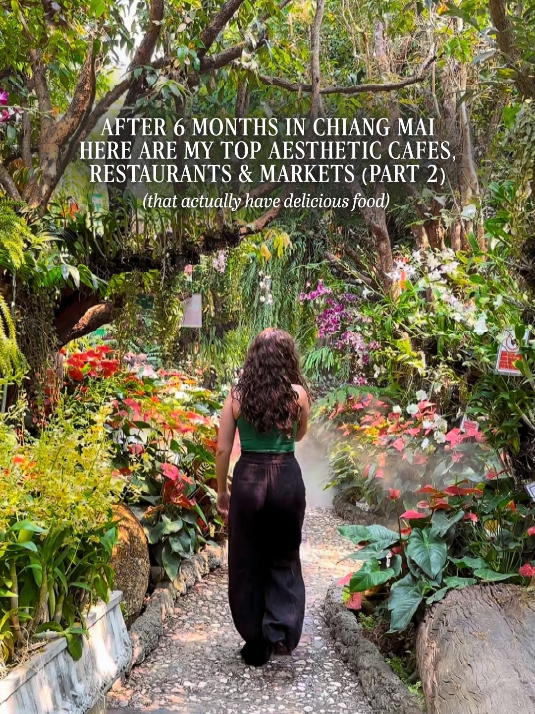 Chiang Mai Cafes, Markets, and Restaurants