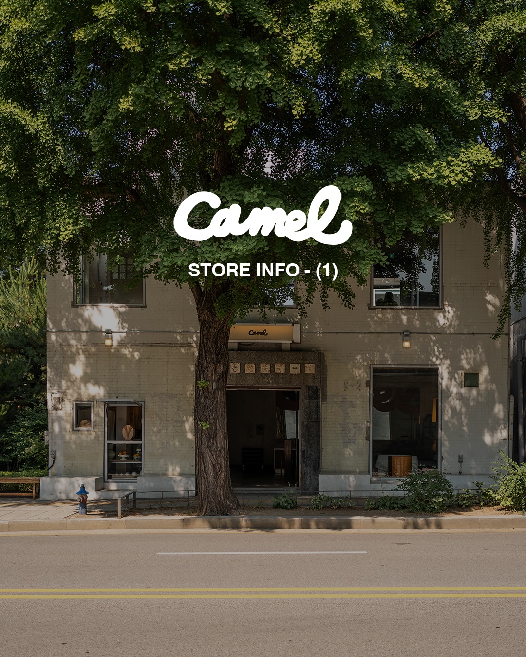 Camel Coffee Locations In Seoul