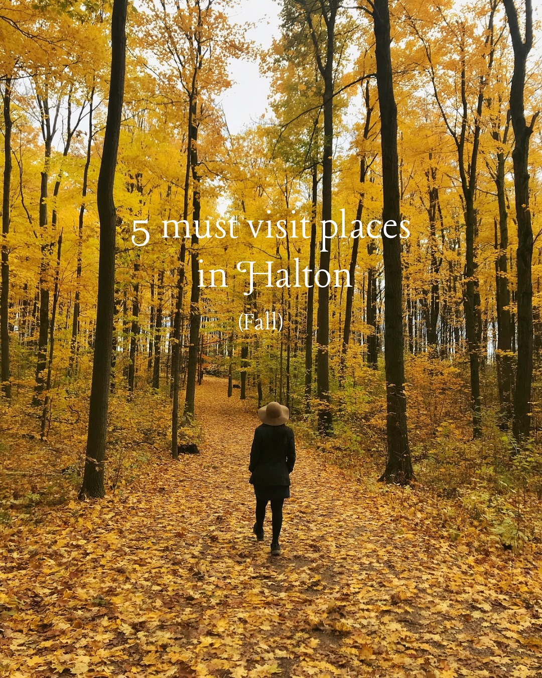 Halton's Top Five Fall Conservation Areas
