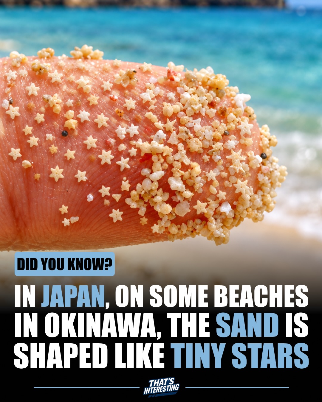 Okinawa Islands Offer Beaches With Star-Shaped Sand